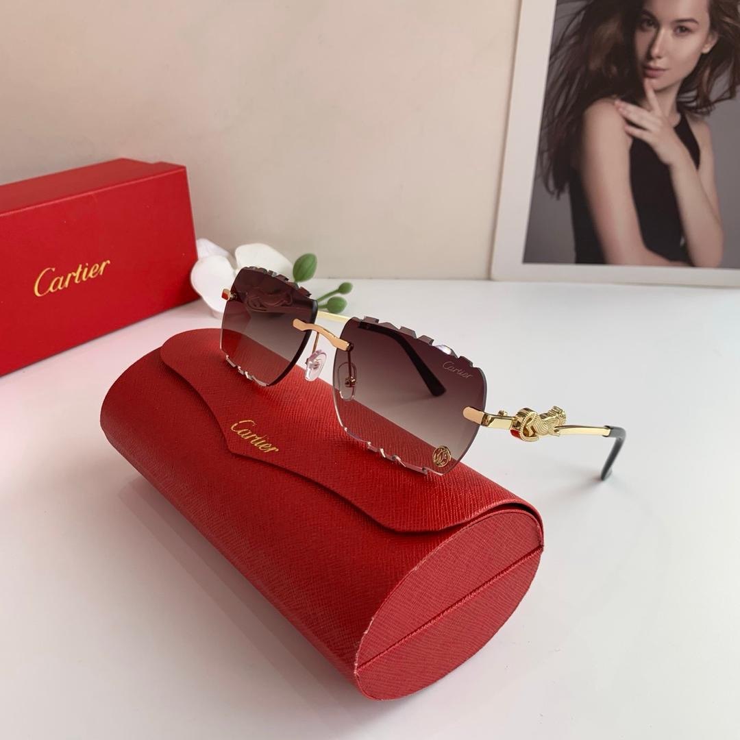 Gafas de sol con gradiente de vanguardia