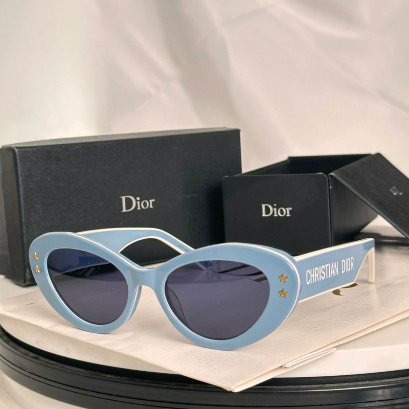 Oval Acetate Statement Sunglasses