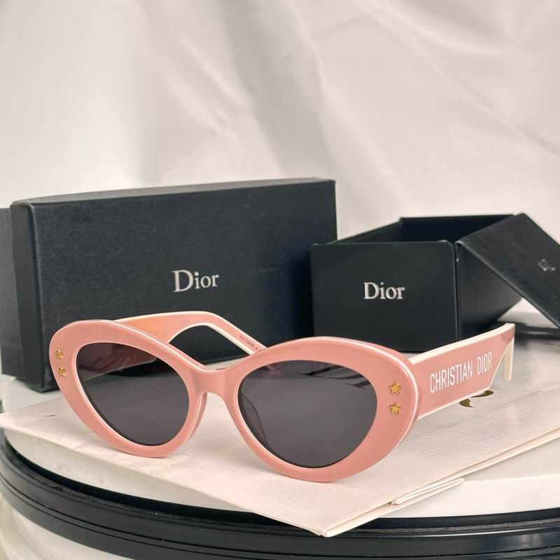 Oval Acetate Statement Sunglasses
