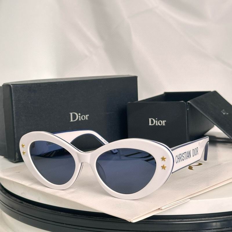 Oval Acetate Statement Sunglasses