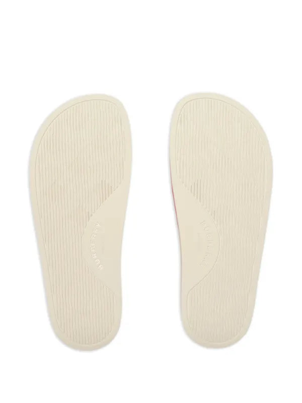 Brbrry slides