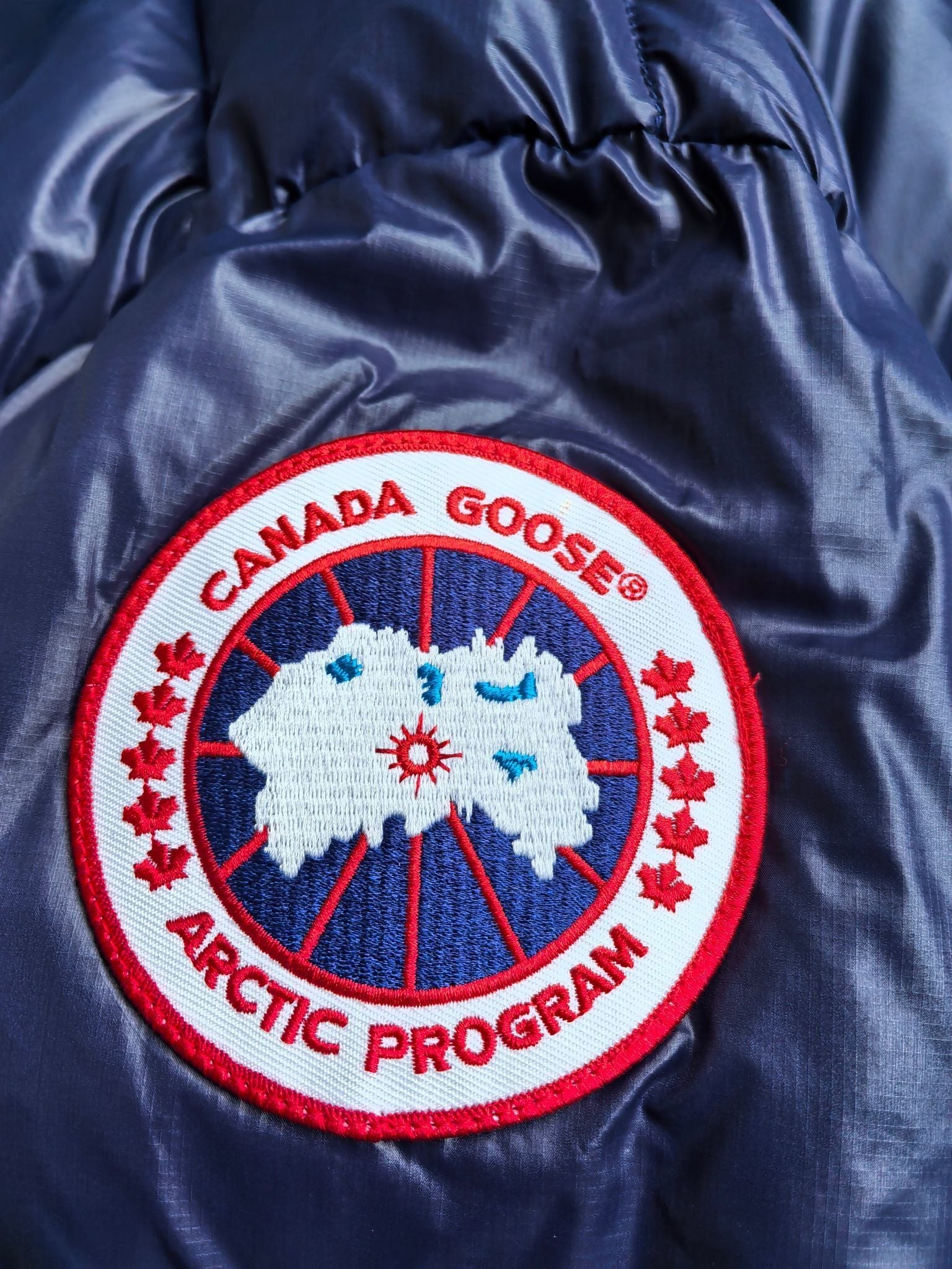 Chaqueta de plumas brillante