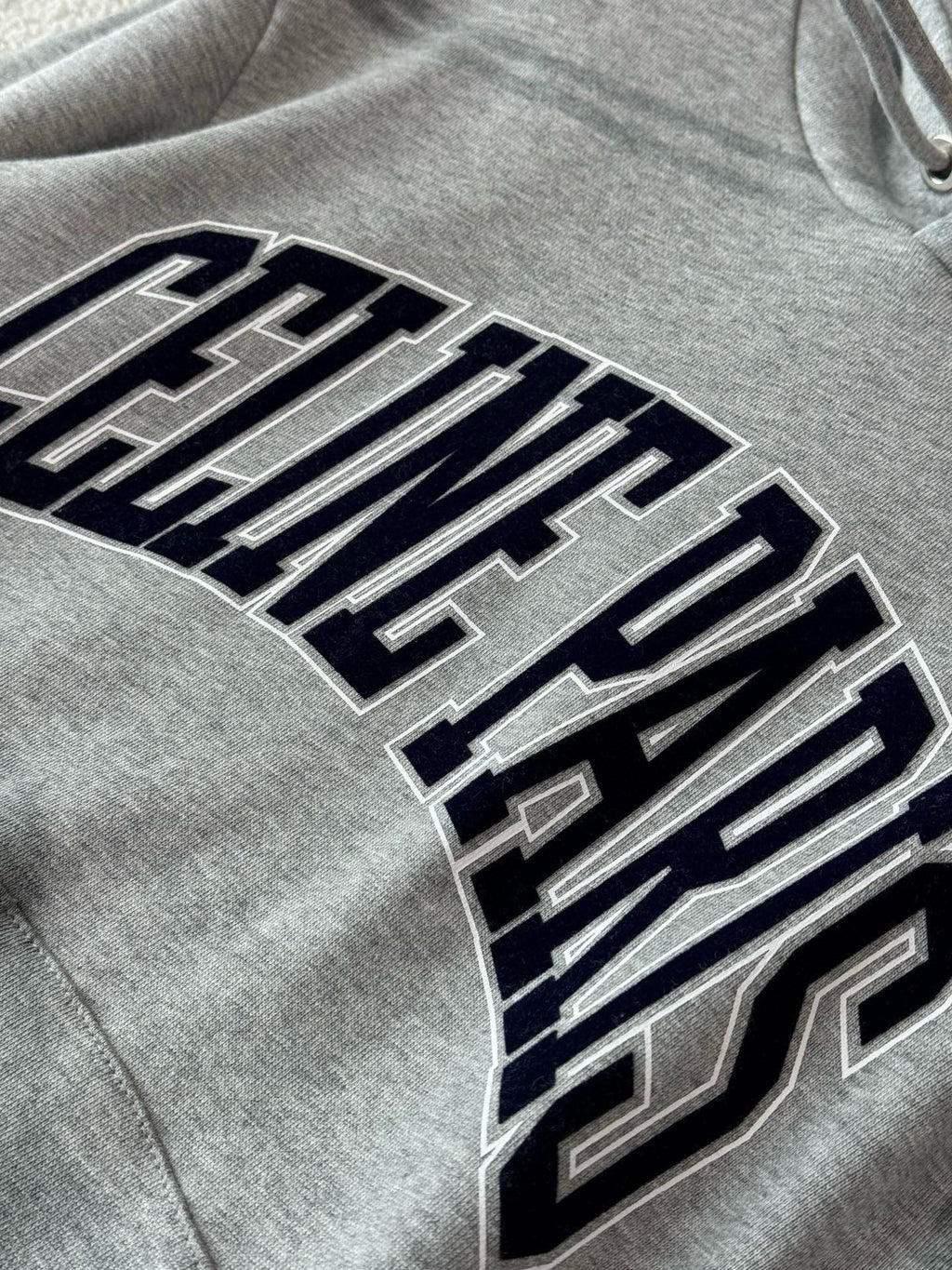 Sudadera con capucha y logo gris