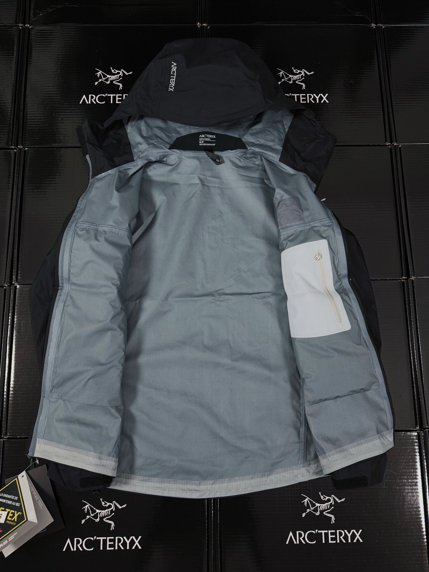 Chaqueta con capucha Beta Lightweight 2024