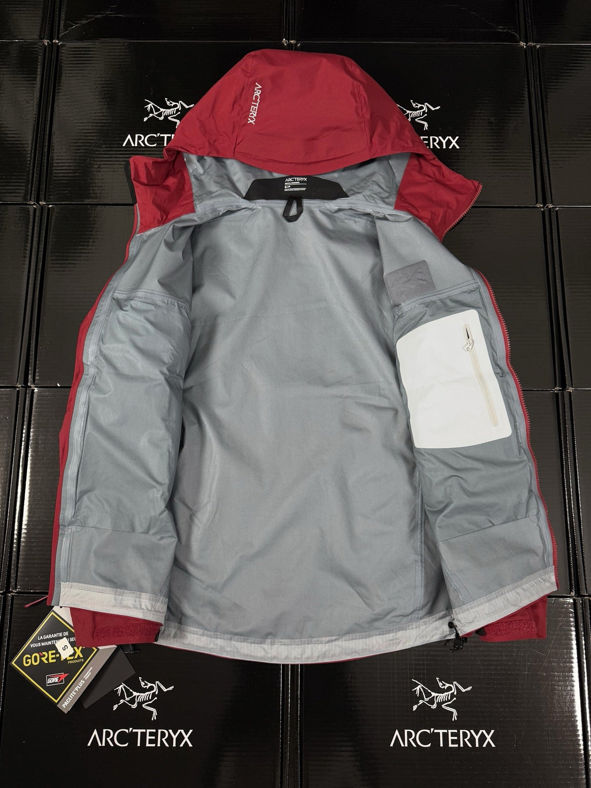 Beta Lightweight Kapuzenjacke 2024