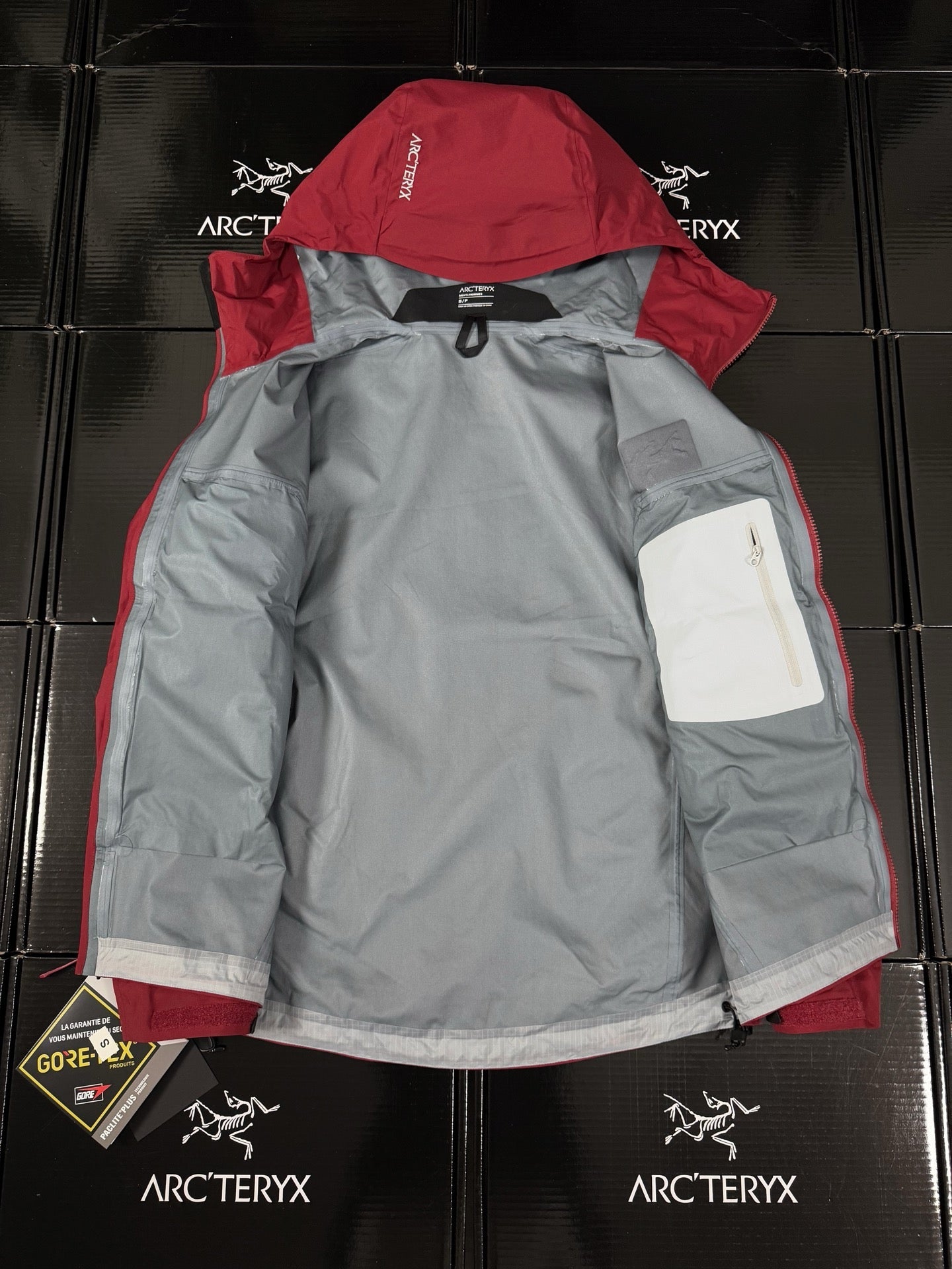Chaqueta con capucha Beta Lightweight 2024