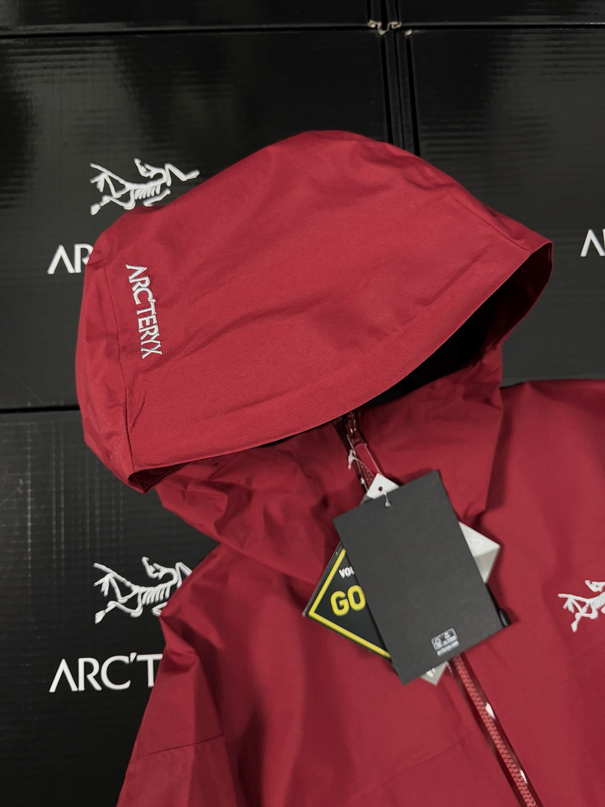 Beta Lightweight Kapuzenjacke 2024