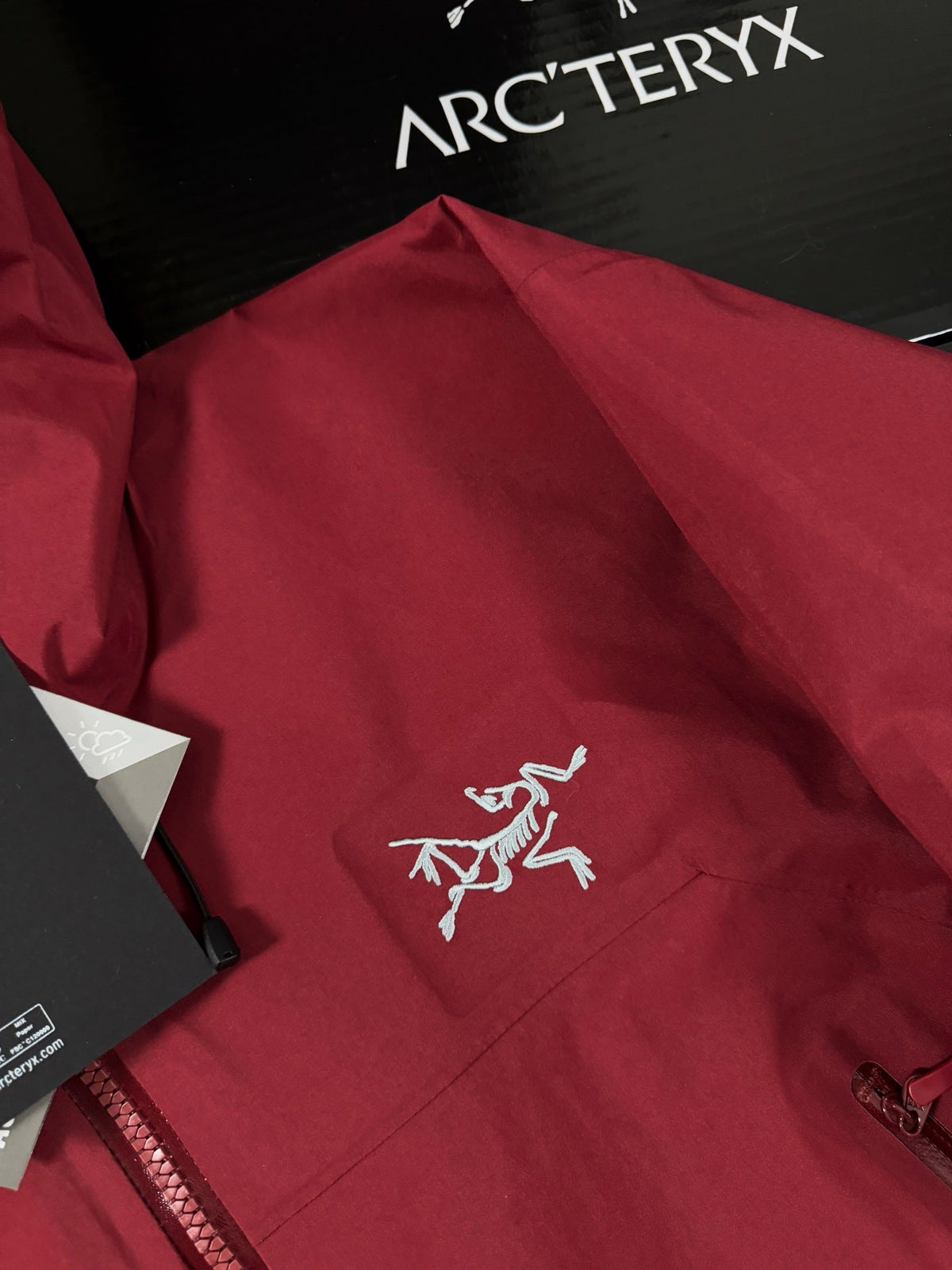 Beta Lightweight Kapuzenjacke 2024